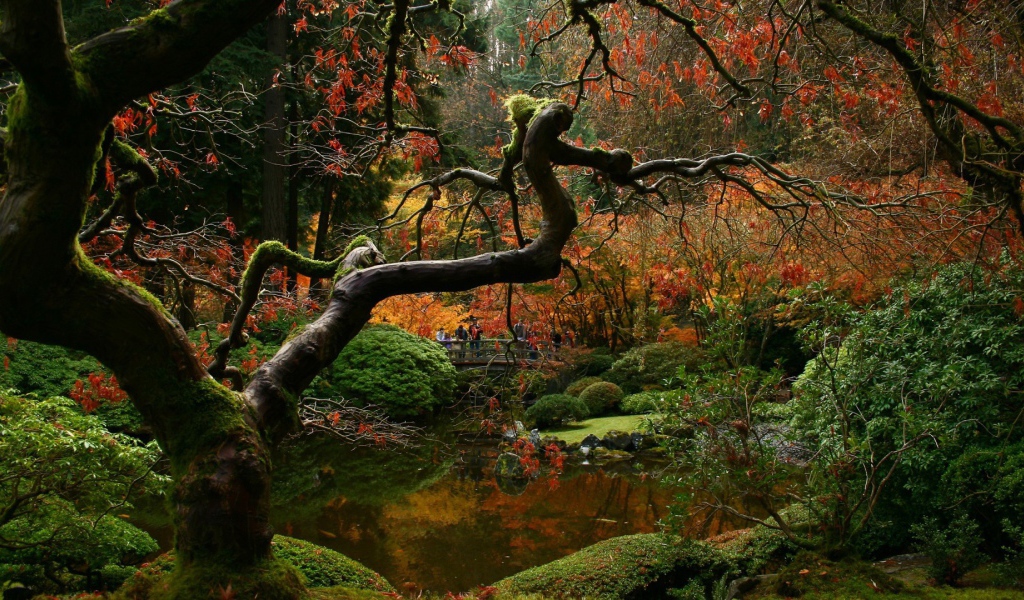 Засохшее дерево в японском саду