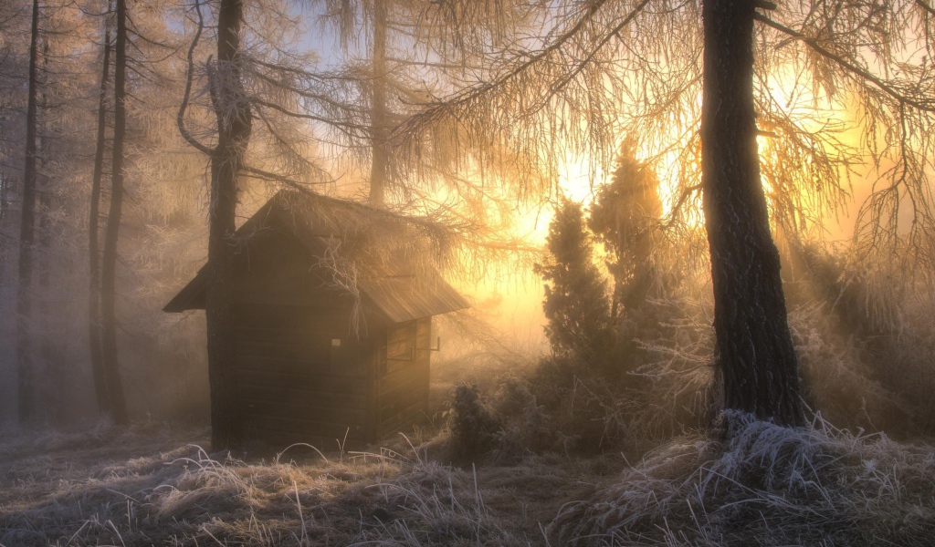 Hunting hut in the frosty woods