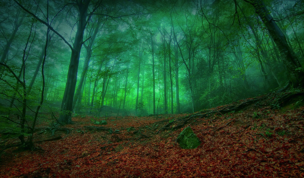 Мистический зеленый лес