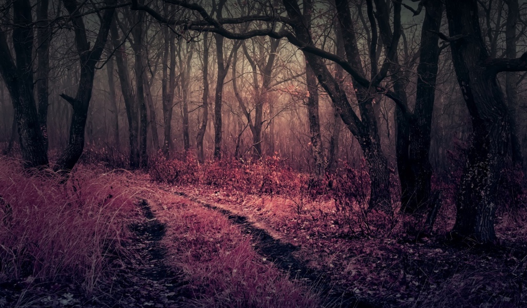 Розовая трава в чаще мрачного леса