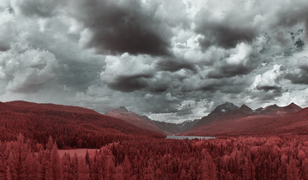 Рыжий лес в предгорье