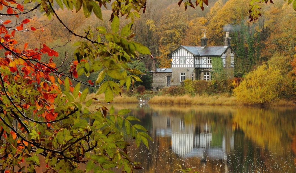 Каменный жилой дом среди леса