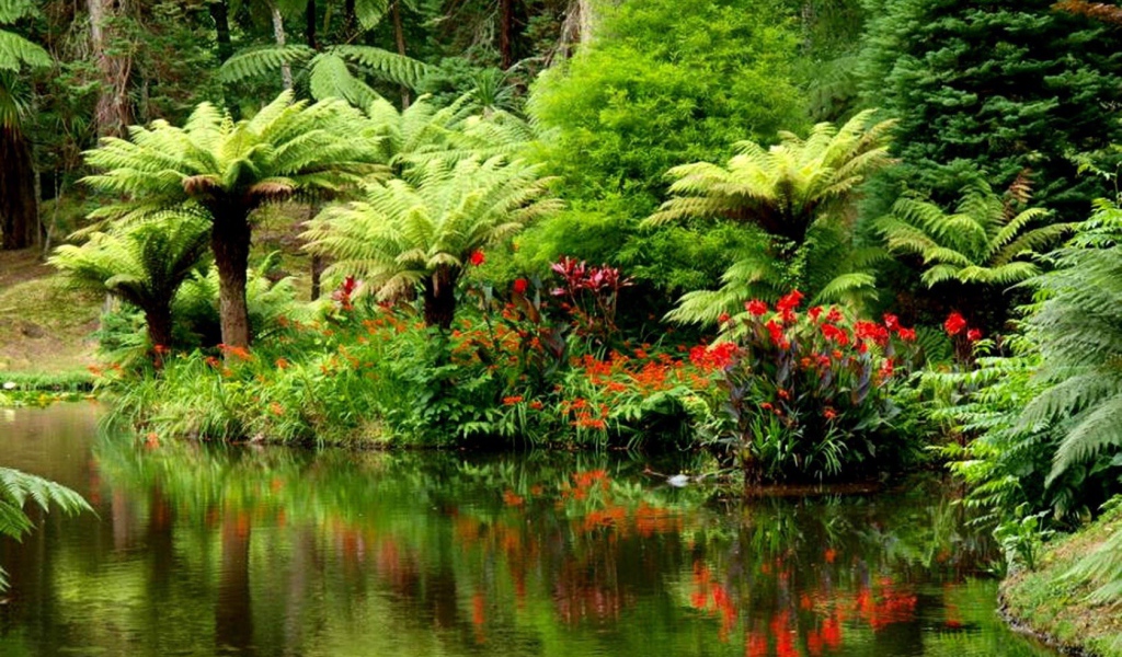 Тропический лес на берегу реки