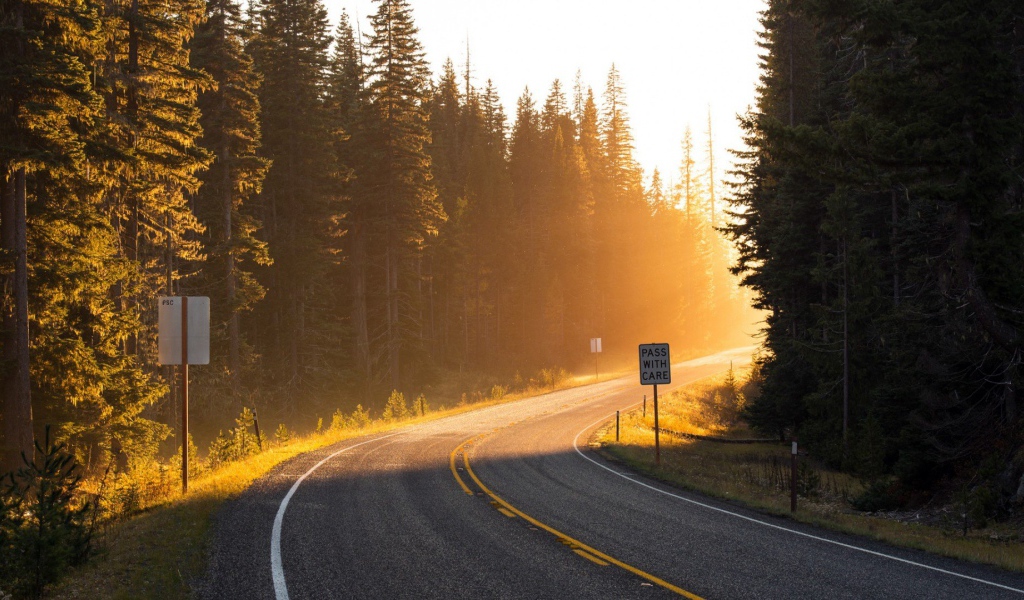 Поворот на лесной дороге