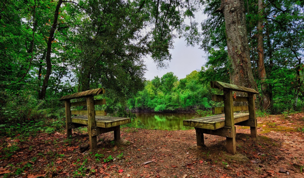 Две скамьи у лесного озера