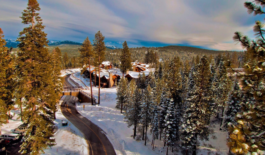 Поселок в зимнем лесу