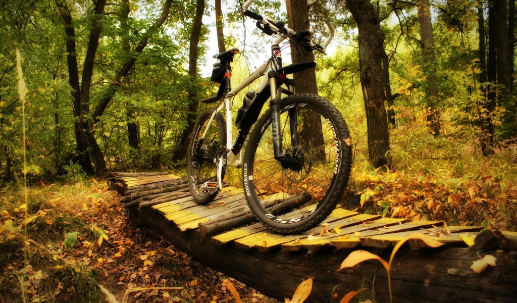 Прогулочный велосипед в лесу