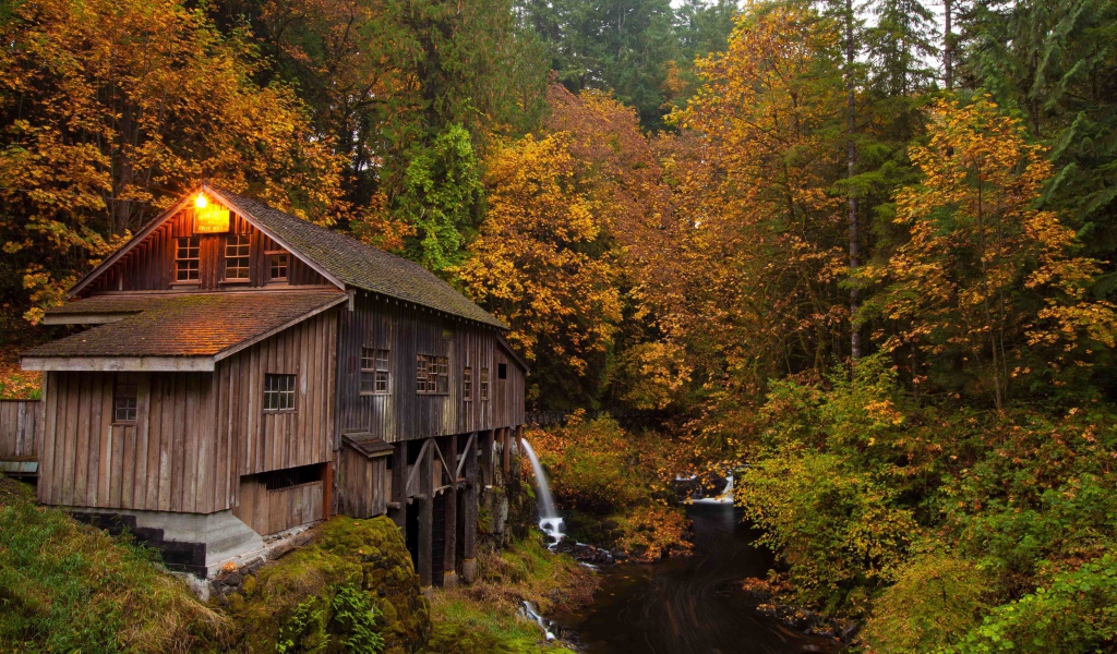Деревянный дом над речушкой в лесу