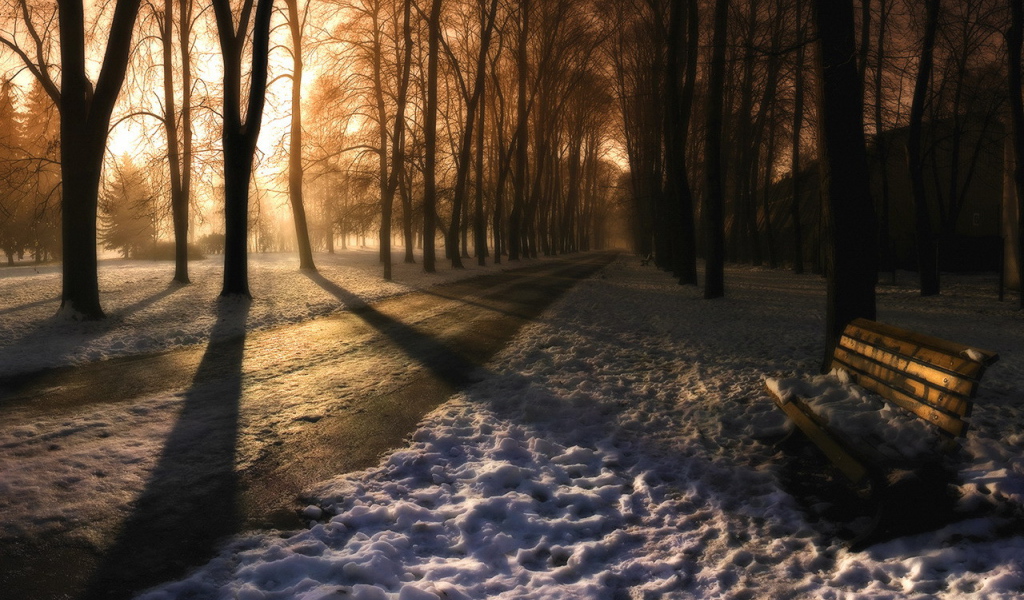 Вечер в заснеженном парке
