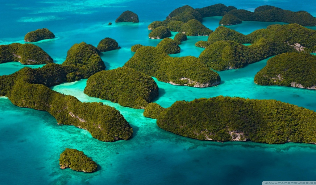 Покрытые лесом острова среди голубой воды