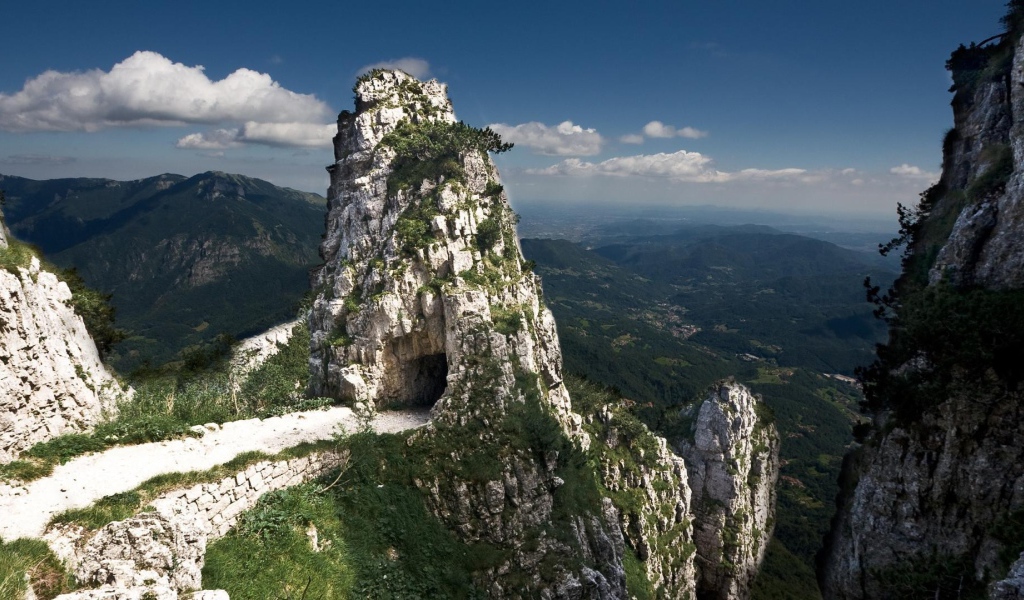 Меловые скалы поросли зеленью