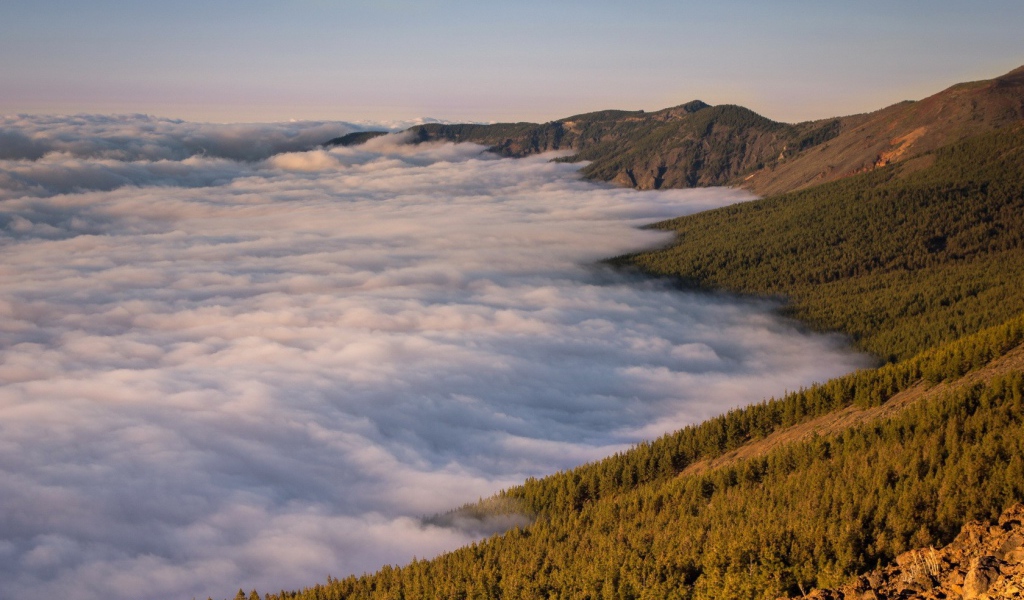 Туман в долине