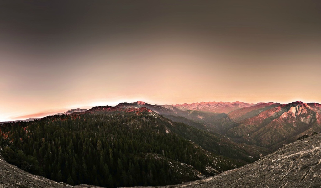 Поросшее хвойным лесом плоскогорье