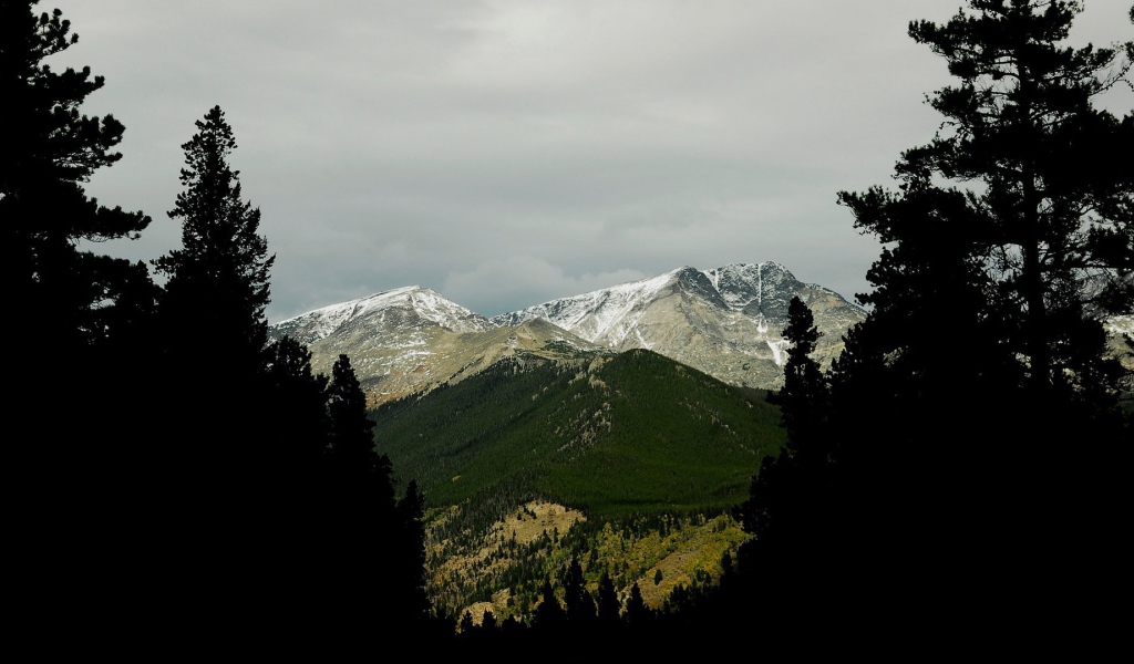 Фото гор среди деревьев