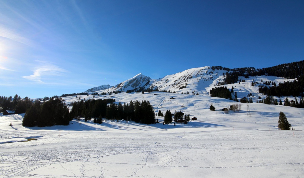 Лыжная трасса в горах