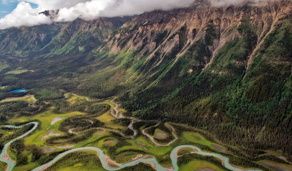 Зеленая долина с рекой 
