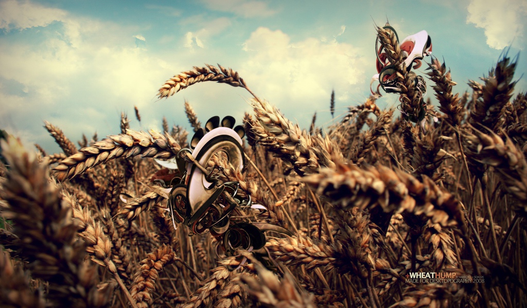 Робот в пшеничном поле