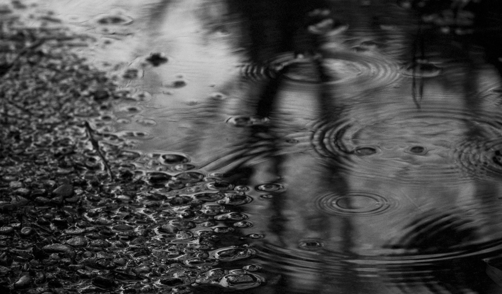 Черно белое фото лужи после дождя