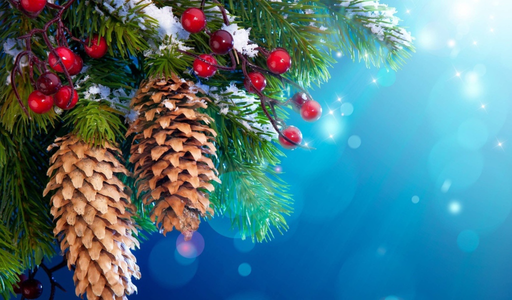 Шишки и ягоды на хвойном дереве