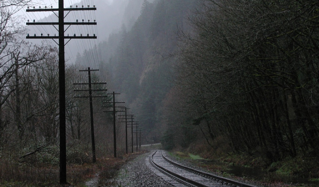 Железная дорога среди мрачного леса