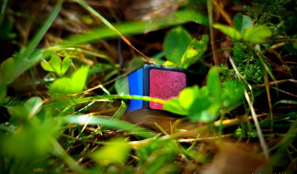 Элемент кубика Рубика лежит в траве