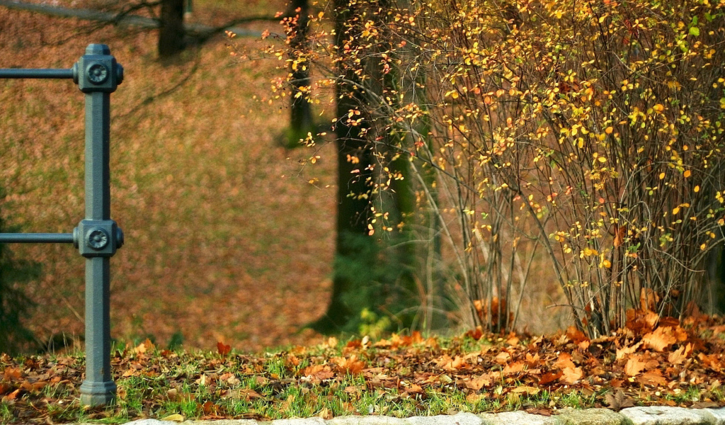 Конец забора