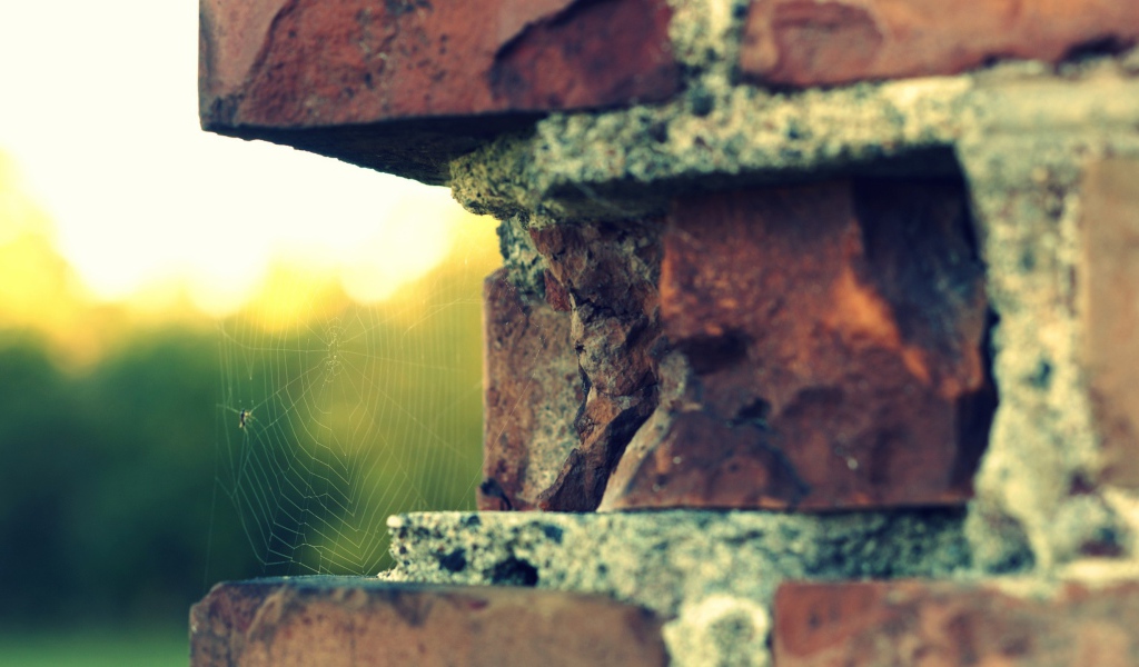 Паутина в выемке кирпичной кладки