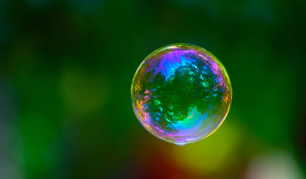 Природа в капле