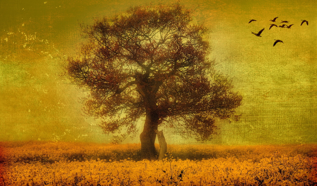 Птицы над одиноким деревом