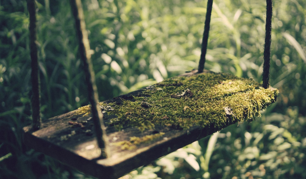 Мох на детских качелях