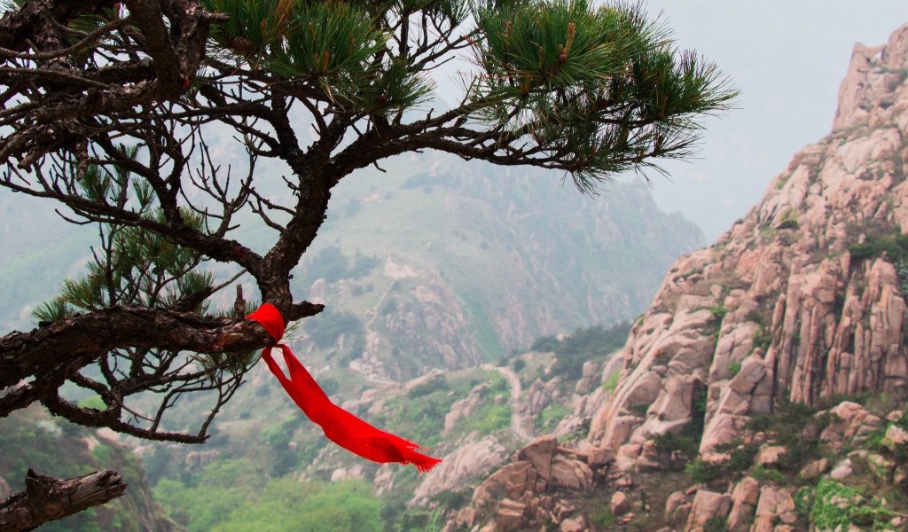 Красная лента на хвойном дереве