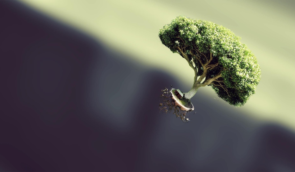 Дерево вырвалось на свободу