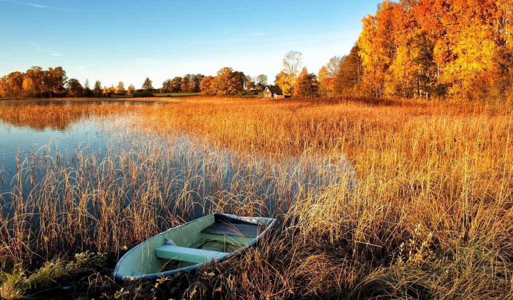 Лодка у берега заболоченного озера