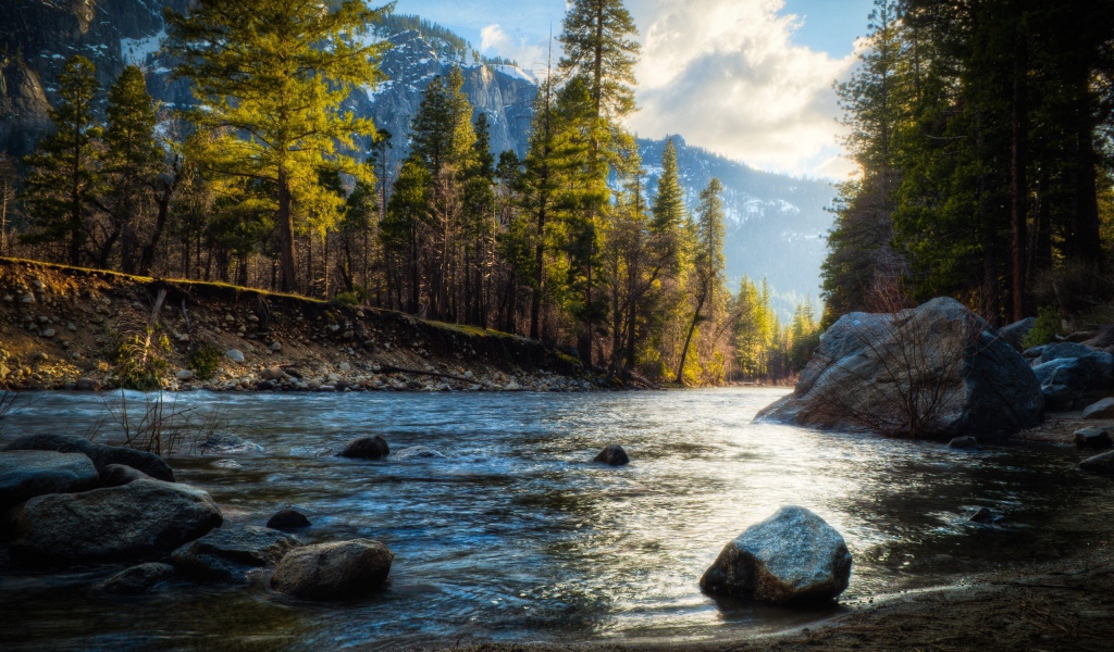 Валуны на берегу реки в лесу