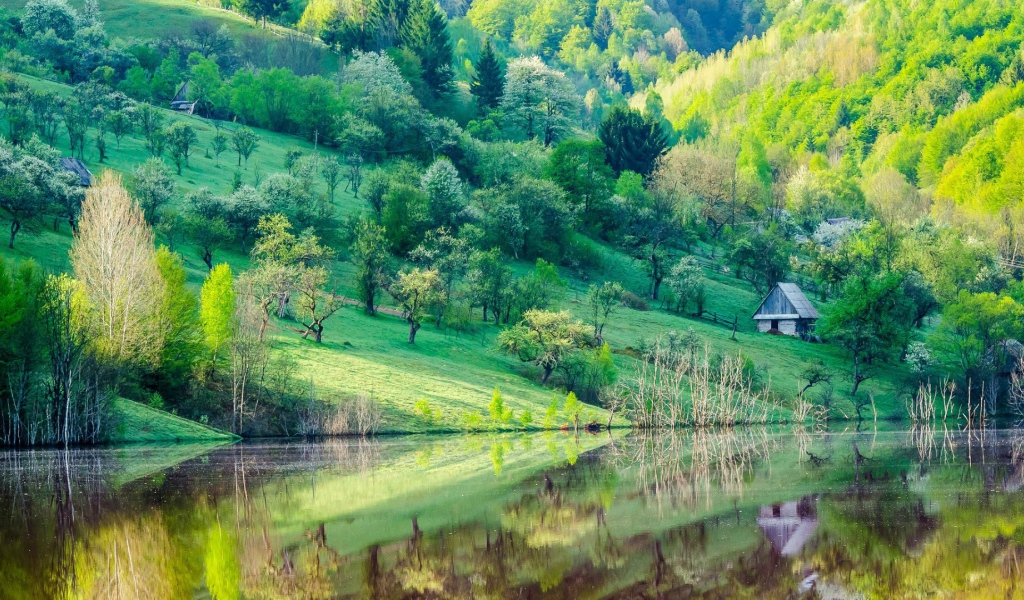 Зеленые склоны гор у озера