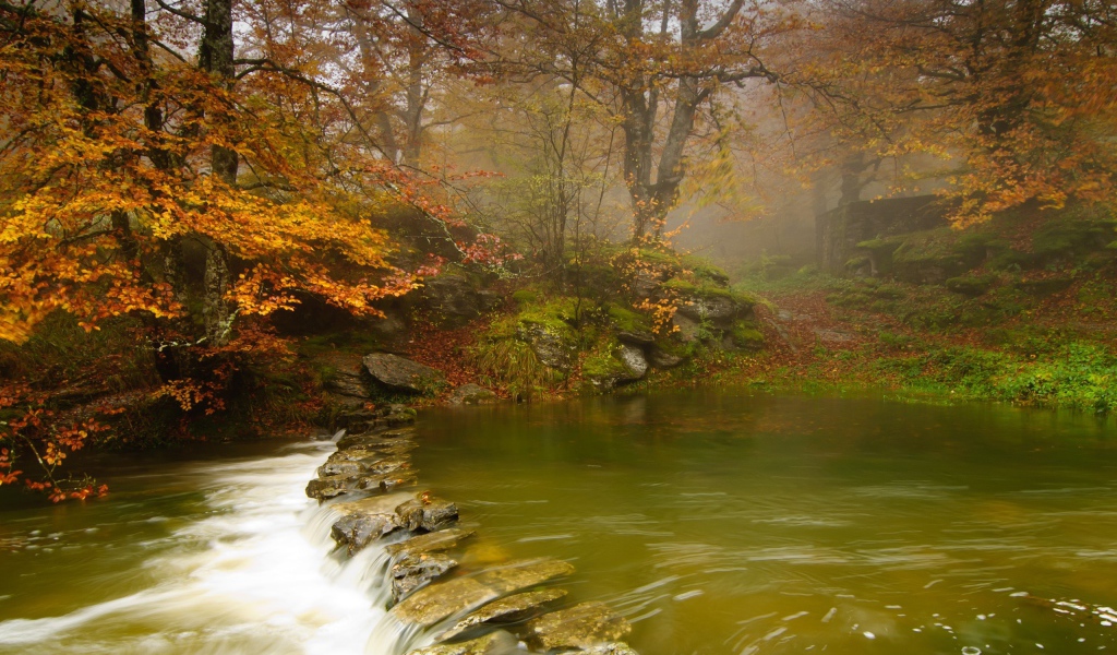 Зеленая вода в неглубокой реке