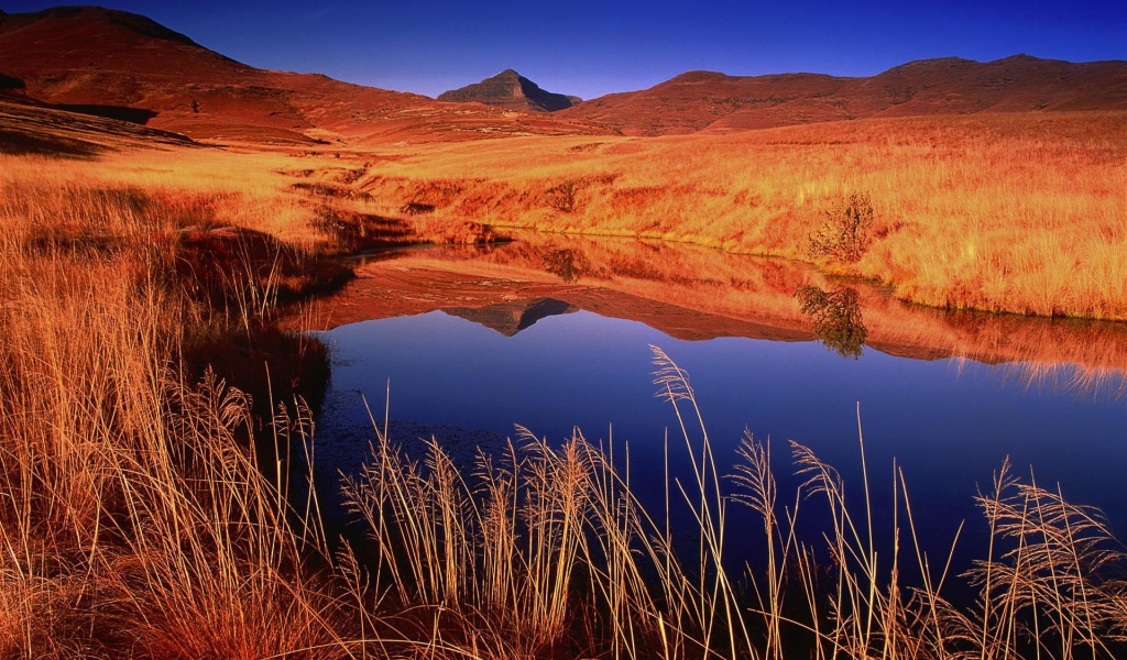 Озерцо с дождевой водой