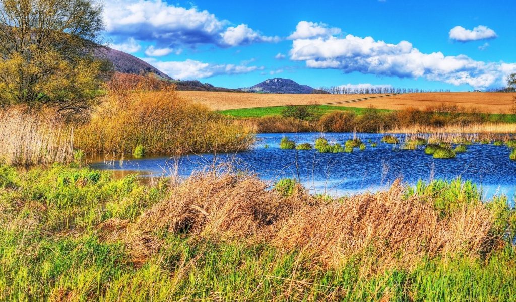 Болотистое место среди полей