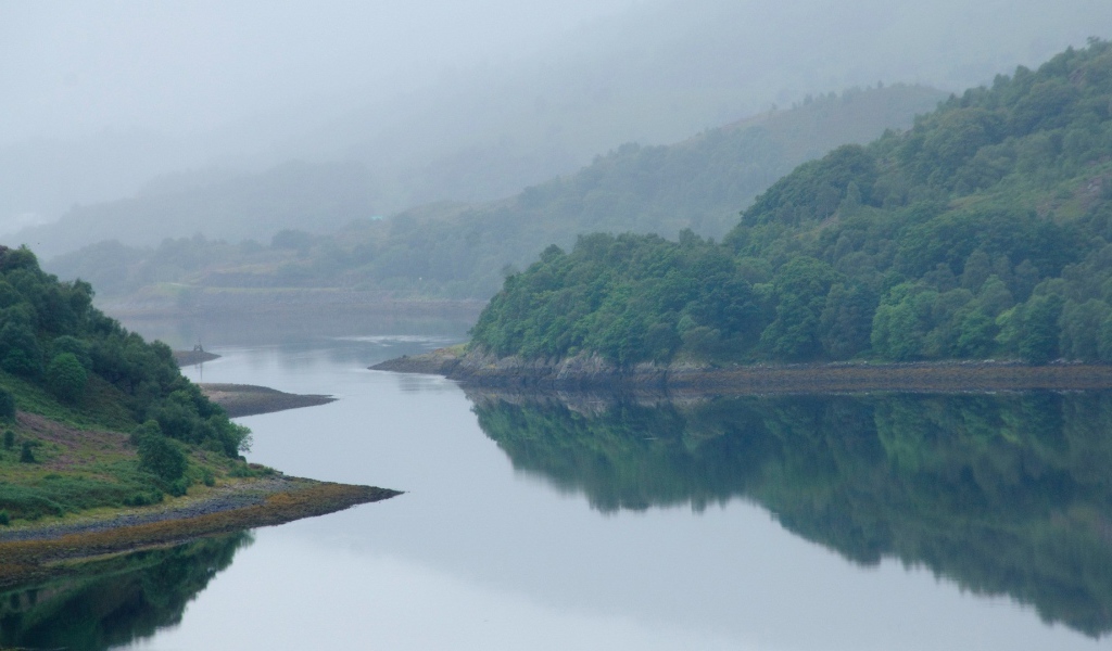 Извилистая река посреди поросших деревьями берегов