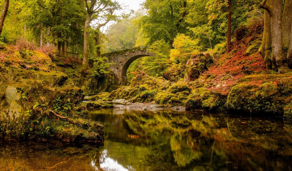 Старинный каменный мост над спокойной рекой в лесу