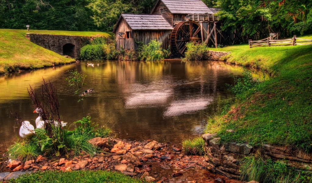 Пруд у деревянной мельницы