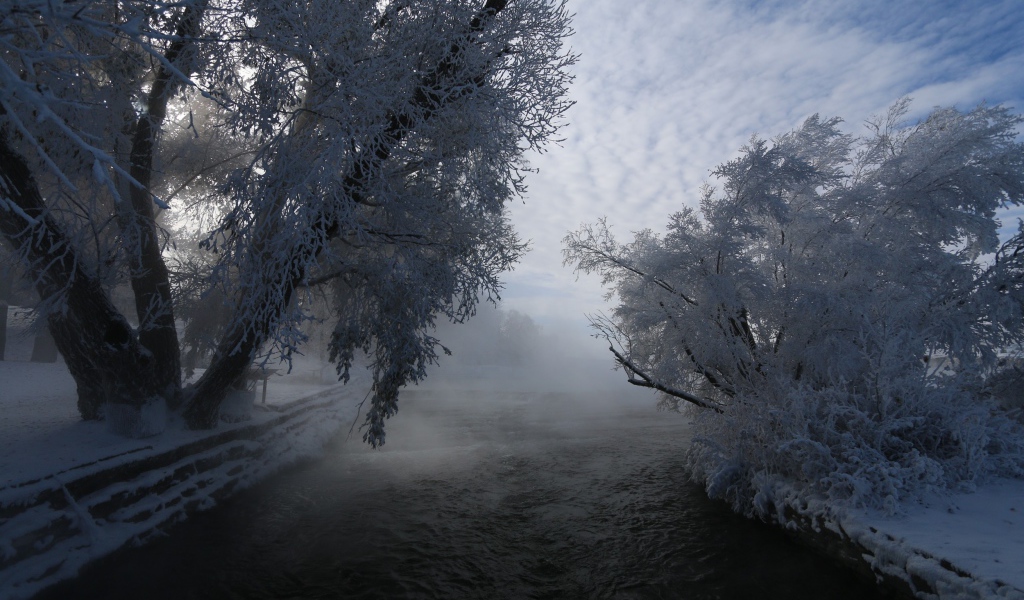Быстрая река не замерзла зимой