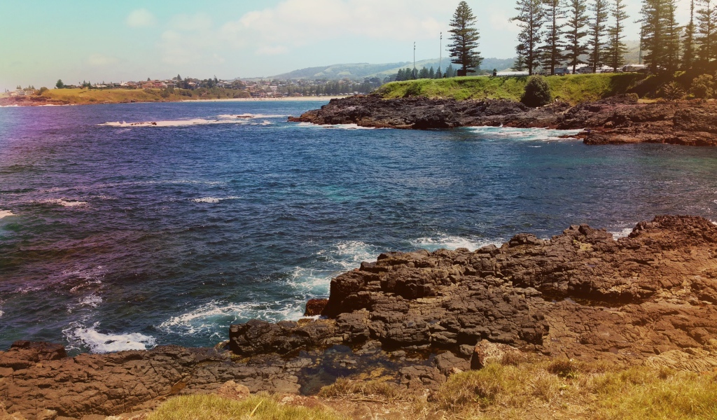 Каменистый берег у реки