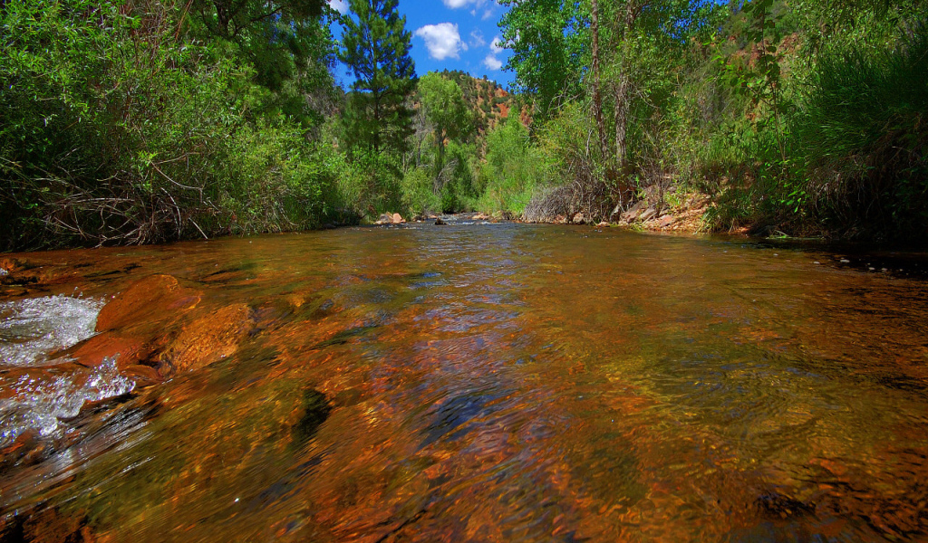 Прозрачная река в горах