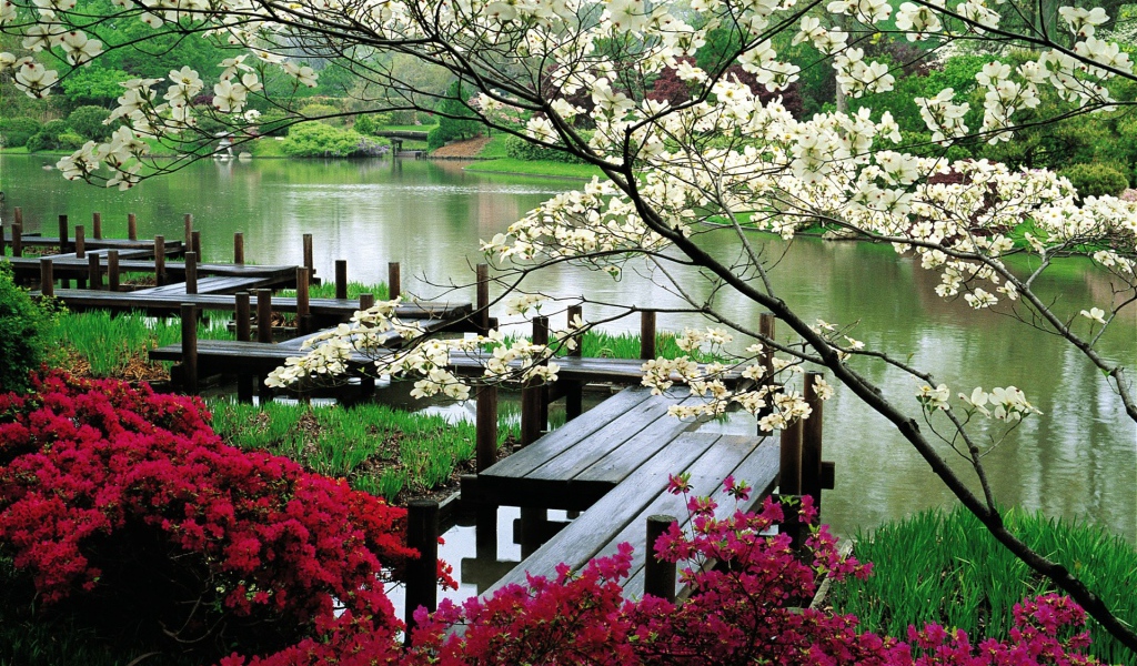 Деревянная дорожка для прогулок у реки