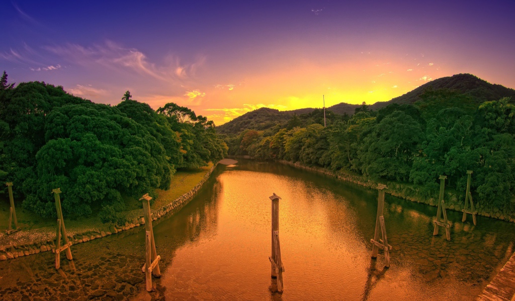 Деревянные столбы в канале