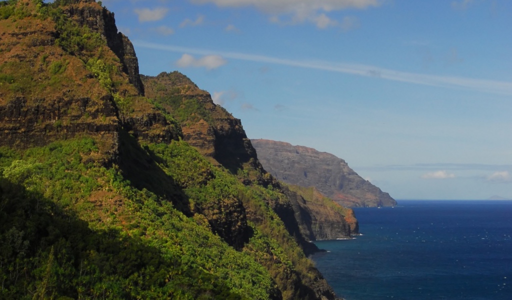 Покрытые лесом скалы над морем