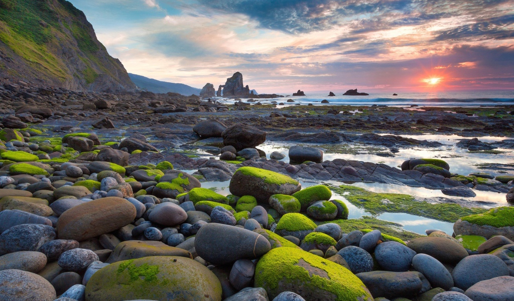 Мох на валунах у моря