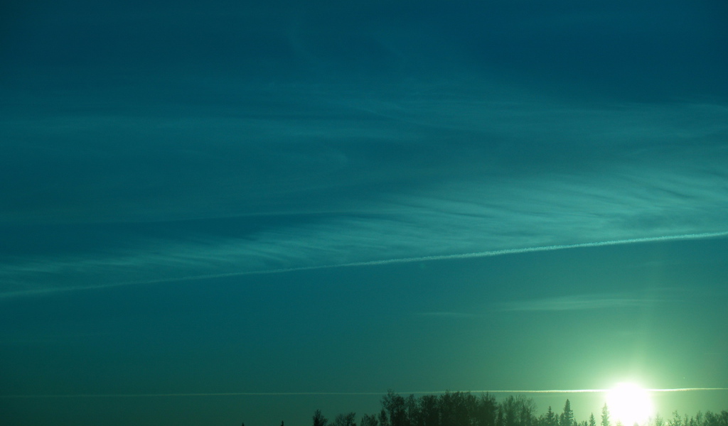 Зеленый закат над лесом