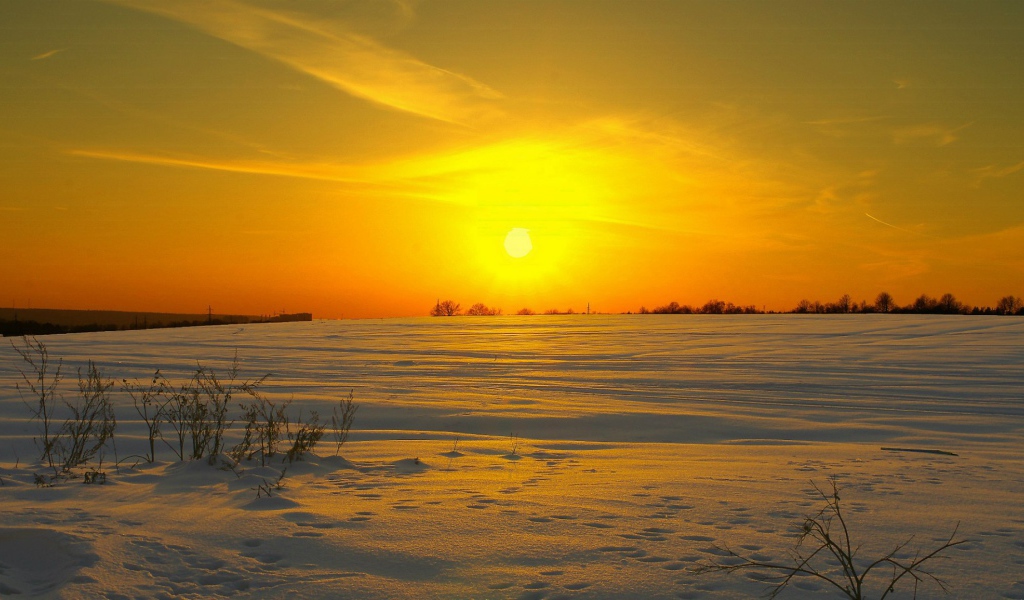 Солнце клонится к закату над заснеженным полем